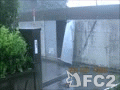 動画:台風24号.mp4